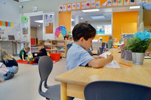 PLG’s op De Klimroos: leren op je eigen niveau