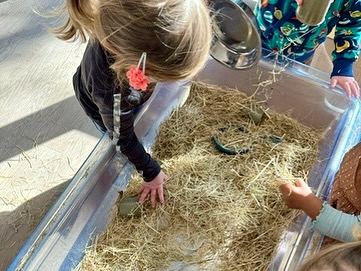Bij de kinderopvang is er vorige week gestart met het thema ‘Boerderij’ 🌾🧑🏼‍🌾🐄 De komende vijf weken staan in het thema van verschillende activiteiten rondom dit thema!
#boerderij #themaweken #kinderopvang #kindcentrumdeklimroos