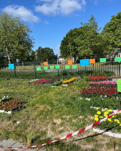 Plantjesactie schoolkamp groep 8 🤠🌺🪴
@kwekerij_potters heeft vandaag alle bestelde plantjes bezorgd! Kinderen uit groep 7 en 8 hebben door middel van deze verkoopactie extra geld voor hun schoolkamp kunnen ophalen. Iedereen die plantjes heeft besteld kan rekenen op een snelle bezorging 🚚💨 Bedankt @kwekerij_potters voor de fijne samenwerking!
#plantjesactie #groep8 #schoolkamp