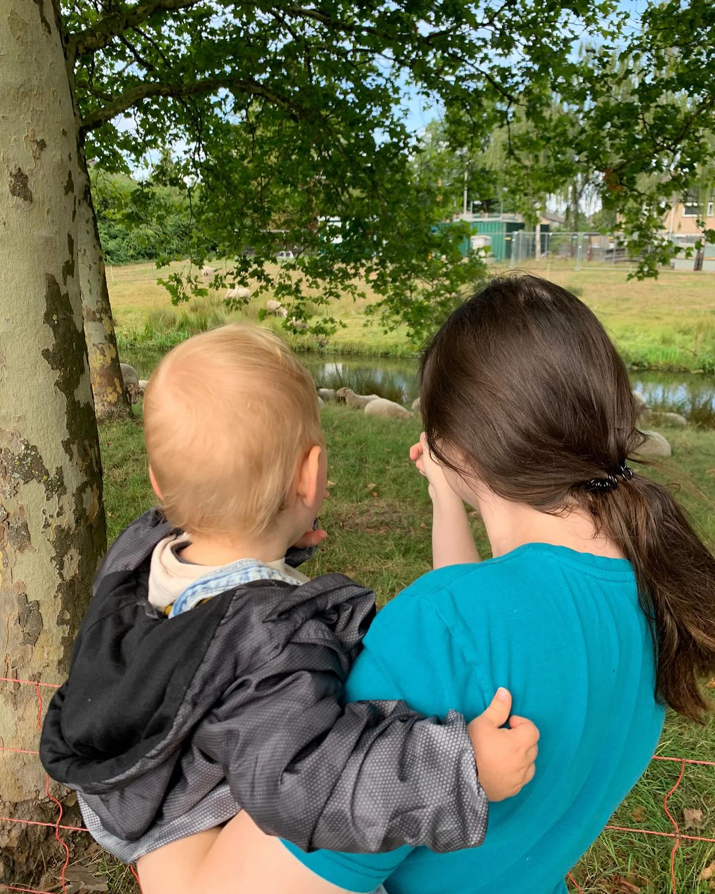 🐑 Vandaag gingen de kinderen op bezoek bij de schaapjes! Wat een plezier om de wollige vriendjes van dichtbij te zien. Er werd niet alleen gekeken, maar ook uit volle borst gezongen: “Schaapje, schaapje, heb je witte wol?” 🎶 
Een heerlijk, leerzaam en muzikaal uitje in de buitenlucht! 🌾💚

#schaapjeskijken #buitenbelevenis #kindcentrumdeklimroos #kinderopvang #kibeo