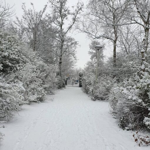 Sneeuwpret! ☃️❄️
Wat bijzonder om de eerste dag na de kerstvakantie weer te mogen starten in dit mooie winterwonderland. 🌨