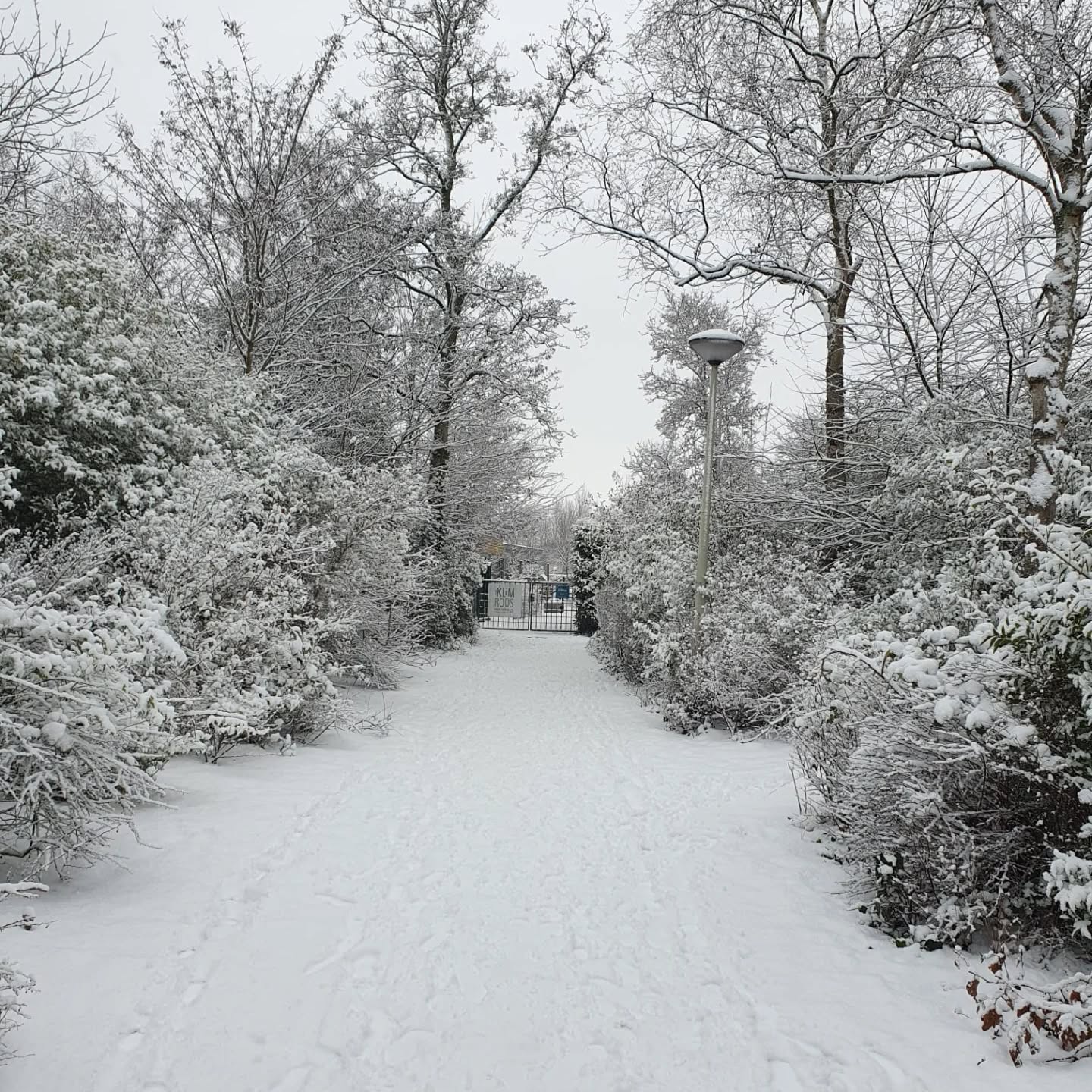 Sneeuwpret! ☃️❄️
Wat bijzonder om de eerste dag na de kerstvakantie weer te mogen starten in dit mooie winterwonderland. 🌨
